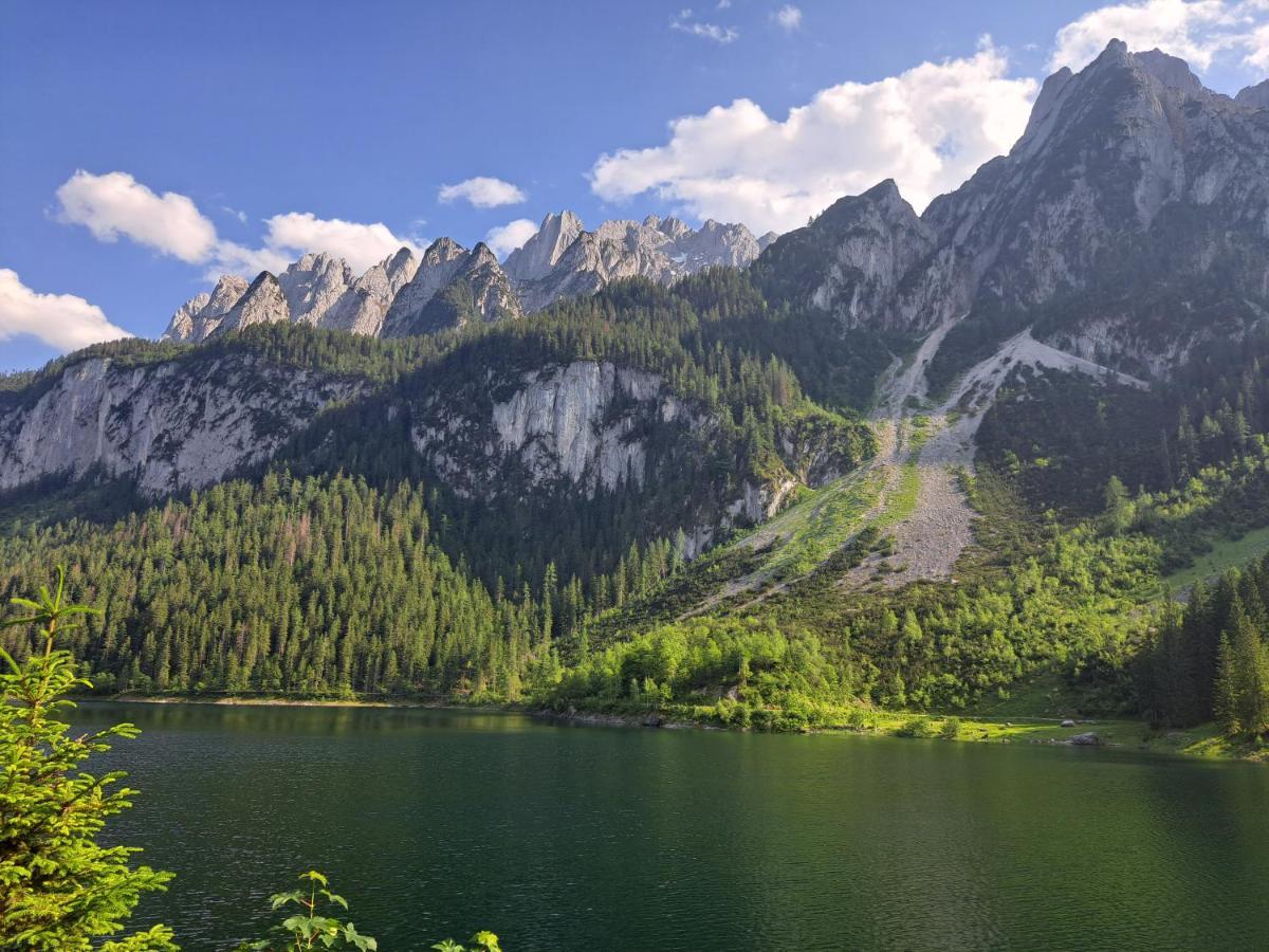 Gasthof Waldwirt Russbach am Pass Gschütt Exteriér fotografie