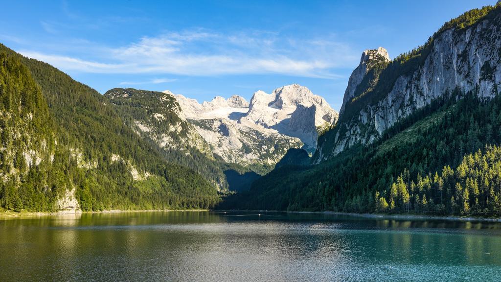 Gasthof Waldwirt Russbach am Pass Gschütt Exteriér fotografie