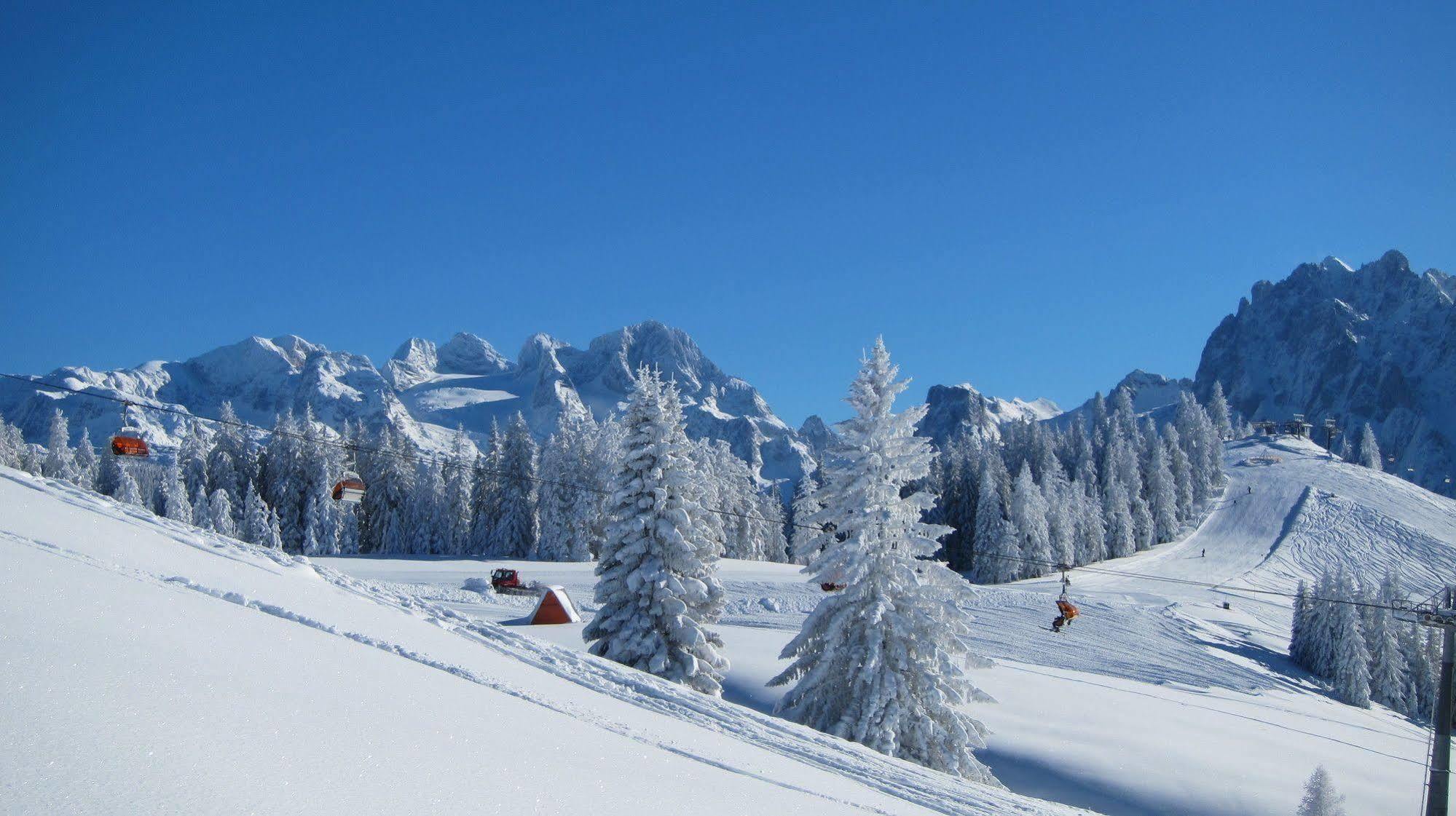 Gasthof Waldwirt Russbach am Pass Gschütt Exteriér fotografie